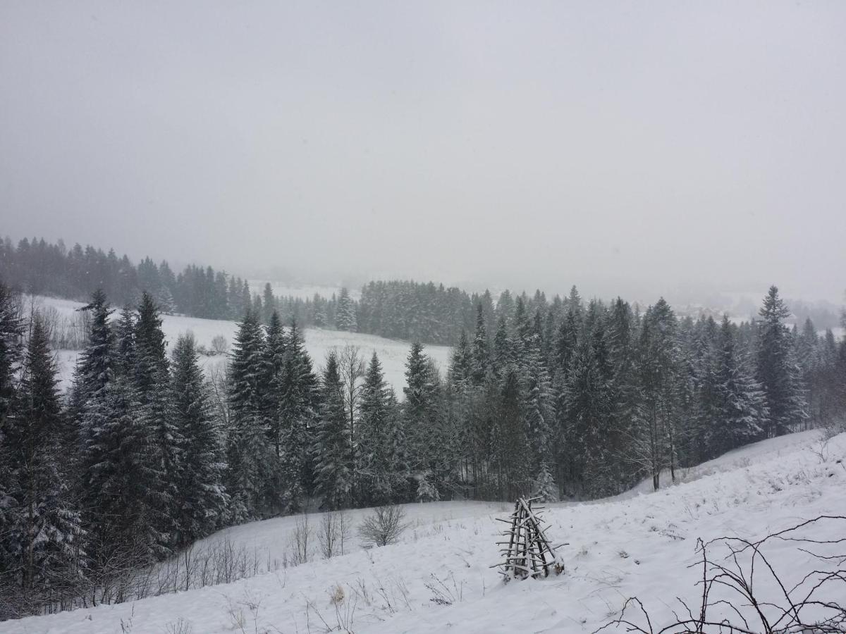 Apartament U Ewki Rdzawka Buitenkant foto