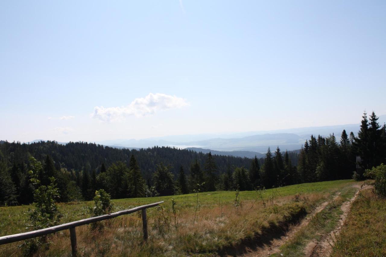 Apartament U Ewki Rdzawka Buitenkant foto