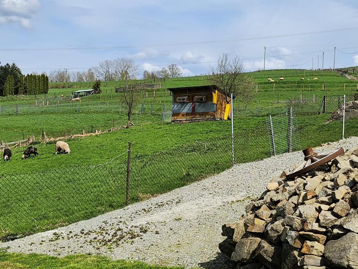 Apartament U Ewki Rdzawka Buitenkant foto